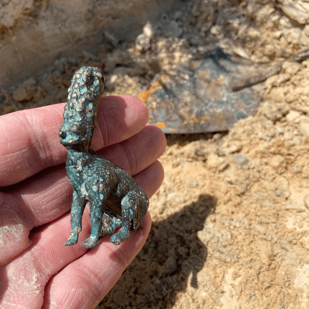 Discovery of a Rhoman Sphinx