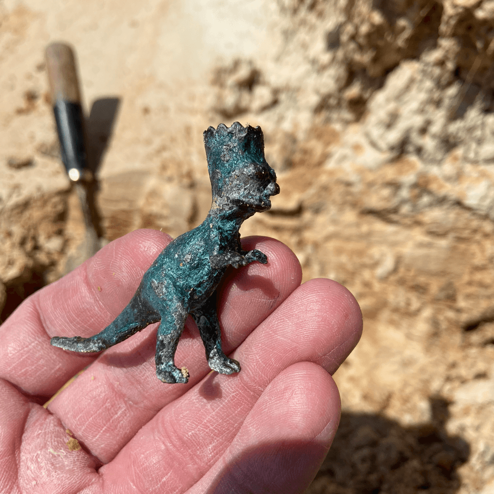 Discovery of the Bartosaurus of Aalst
